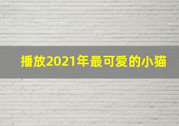 播放2021年最可爱的小猫