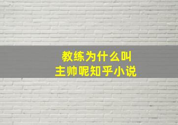 教练为什么叫主帅呢知乎小说