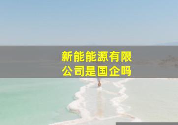 新能能源有限公司是国企吗