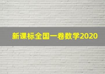 新课标全国一卷数学2020