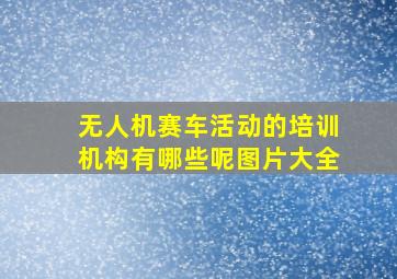 无人机赛车活动的培训机构有哪些呢图片大全