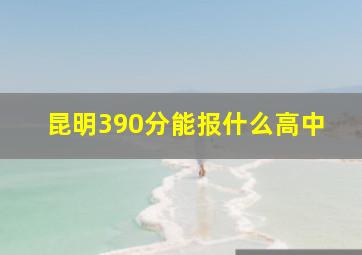 昆明390分能报什么高中