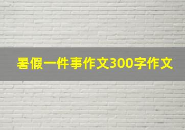 暑假一件事作文300字作文