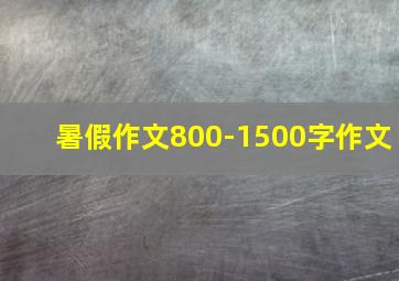 暑假作文800-1500字作文