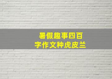 暑假趣事四百字作文种虎皮兰