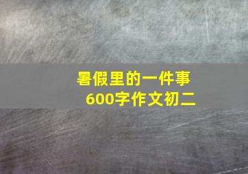 暑假里的一件事600字作文初二