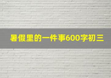 暑假里的一件事600字初三