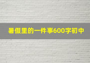 暑假里的一件事600字初中