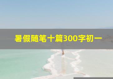 暑假随笔十篇300字初一