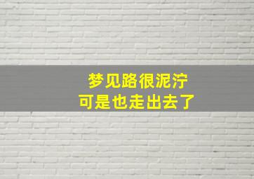 梦见路很泥泞可是也走出去了