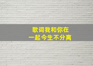 歌词我和你在一起今生不分离