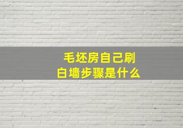 毛坯房自己刷白墙步骤是什么