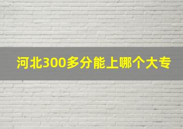 河北300多分能上哪个大专