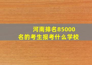 河南排名85000名的考生报考什么学校