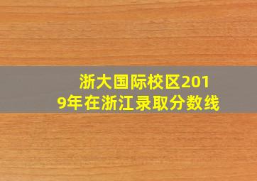 浙大国际校区2019年在浙江录取分数线