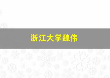 浙江大学魏伟