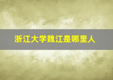 浙江大学魏江是哪里人