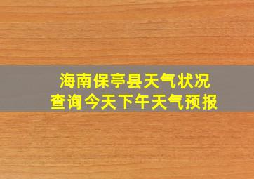 海南保亭县天气状况查询今天下午天气预报