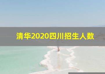 清华2020四川招生人数