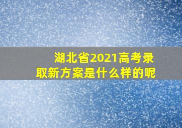 湖北省2021高考录取新方案是什么样的呢