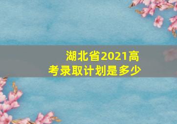 湖北省2021高考录取计划是多少