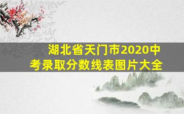 湖北省天门市2020中考录取分数线表图片大全