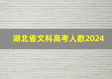 湖北省文科高考人数2024