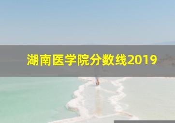 湖南医学院分数线2019