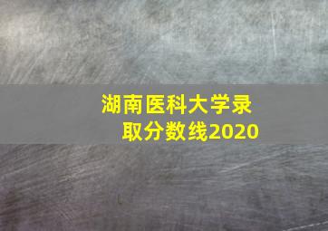 湖南医科大学录取分数线2020