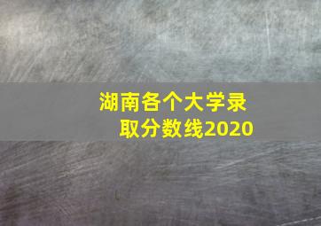 湖南各个大学录取分数线2020