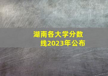 湖南各大学分数线2023年公布