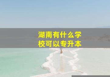 湖南有什么学校可以专升本