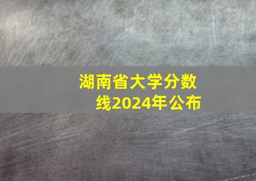 湖南省大学分数线2024年公布