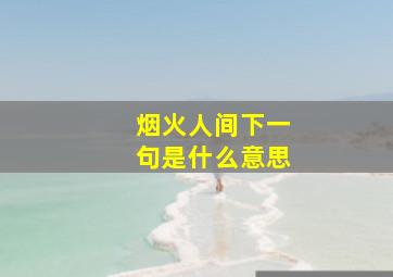 烟火人间下一句是什么意思