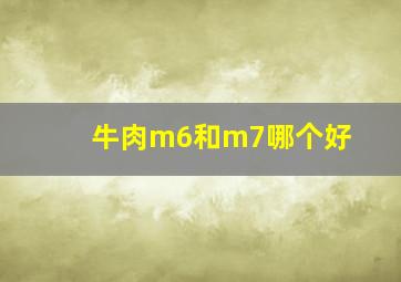 牛肉m6和m7哪个好