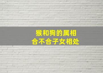 猴和狗的属相合不合子女相处