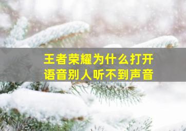 王者荣耀为什么打开语音别人听不到声音