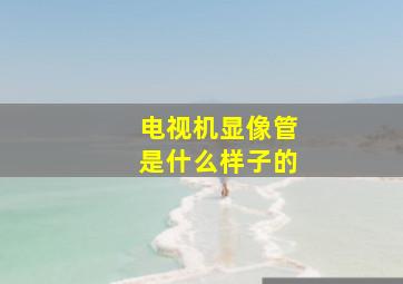 电视机显像管是什么样子的