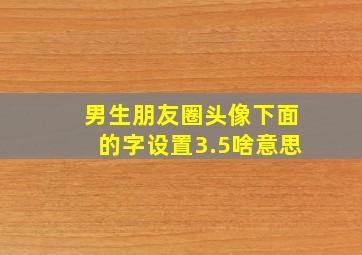 男生朋友圈头像下面的字设置3.5啥意思