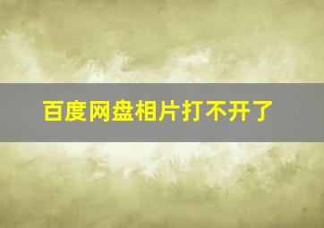 百度网盘相片打不开了