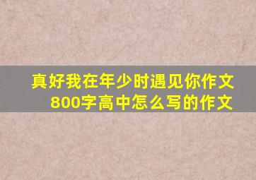 真好我在年少时遇见你作文800字高中怎么写的作文