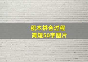 积木拼合过程简短50字图片