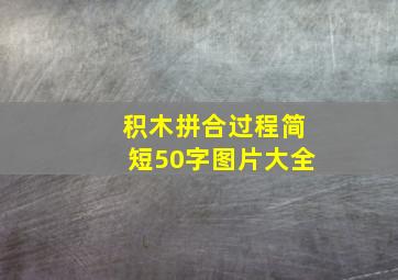 积木拼合过程简短50字图片大全