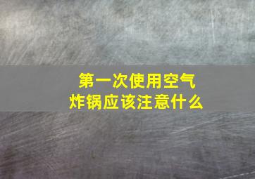 第一次使用空气炸锅应该注意什么