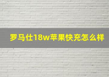 罗马仕18w苹果快充怎么样