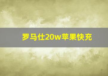 罗马仕20w苹果快充