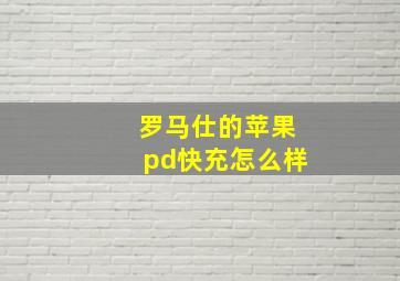 罗马仕的苹果pd快充怎么样