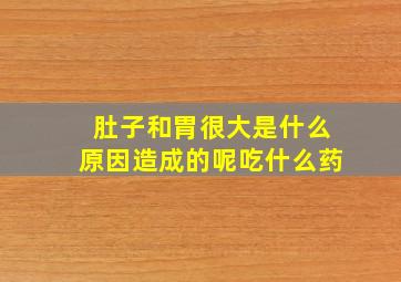 肚子和胃很大是什么原因造成的呢吃什么药