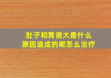 肚子和胃很大是什么原因造成的呢怎么治疗