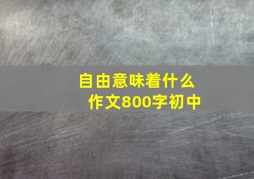 自由意味着什么作文800字初中